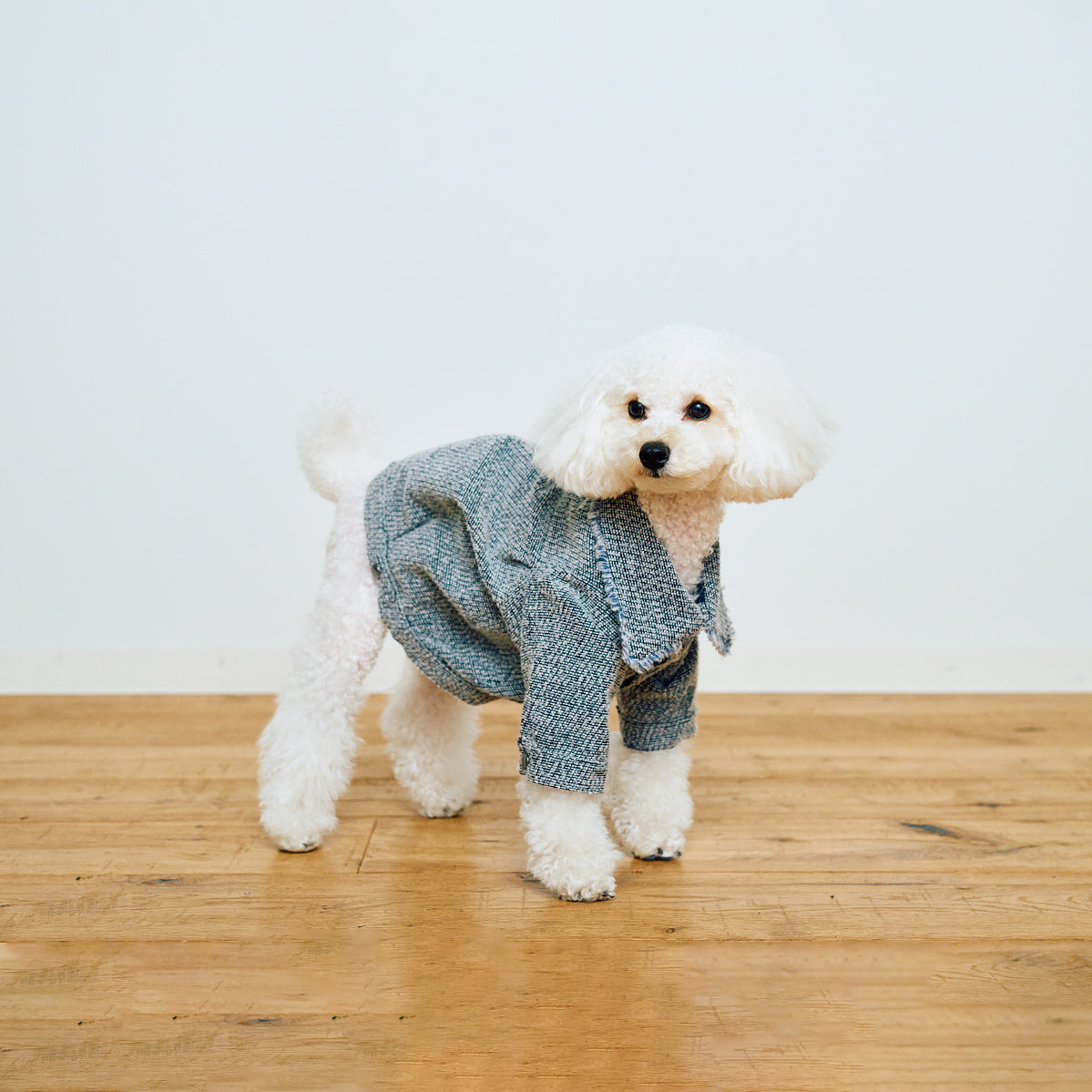 DENI-WOOL JACKET