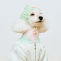 AOSA LIGHT GREENブルゾン