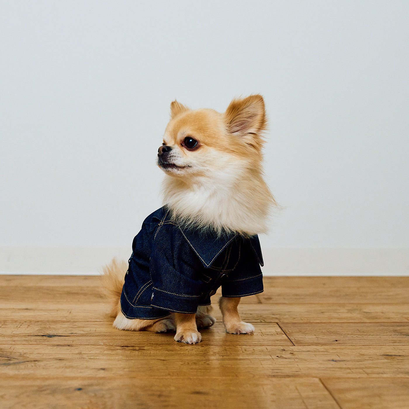 DENI - chiri JACKET