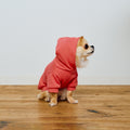 AZUMA HOODIE