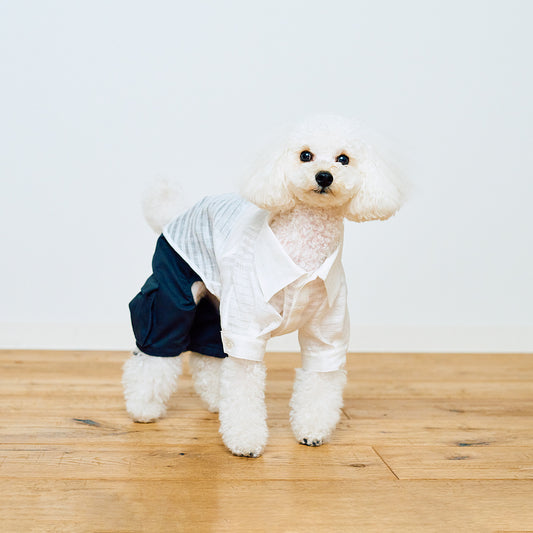 LINEN SHIRT Sheer gauze & Water repellent