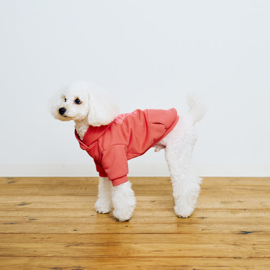 AZUMA HOODIE