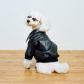LEATHER A2 JACKET