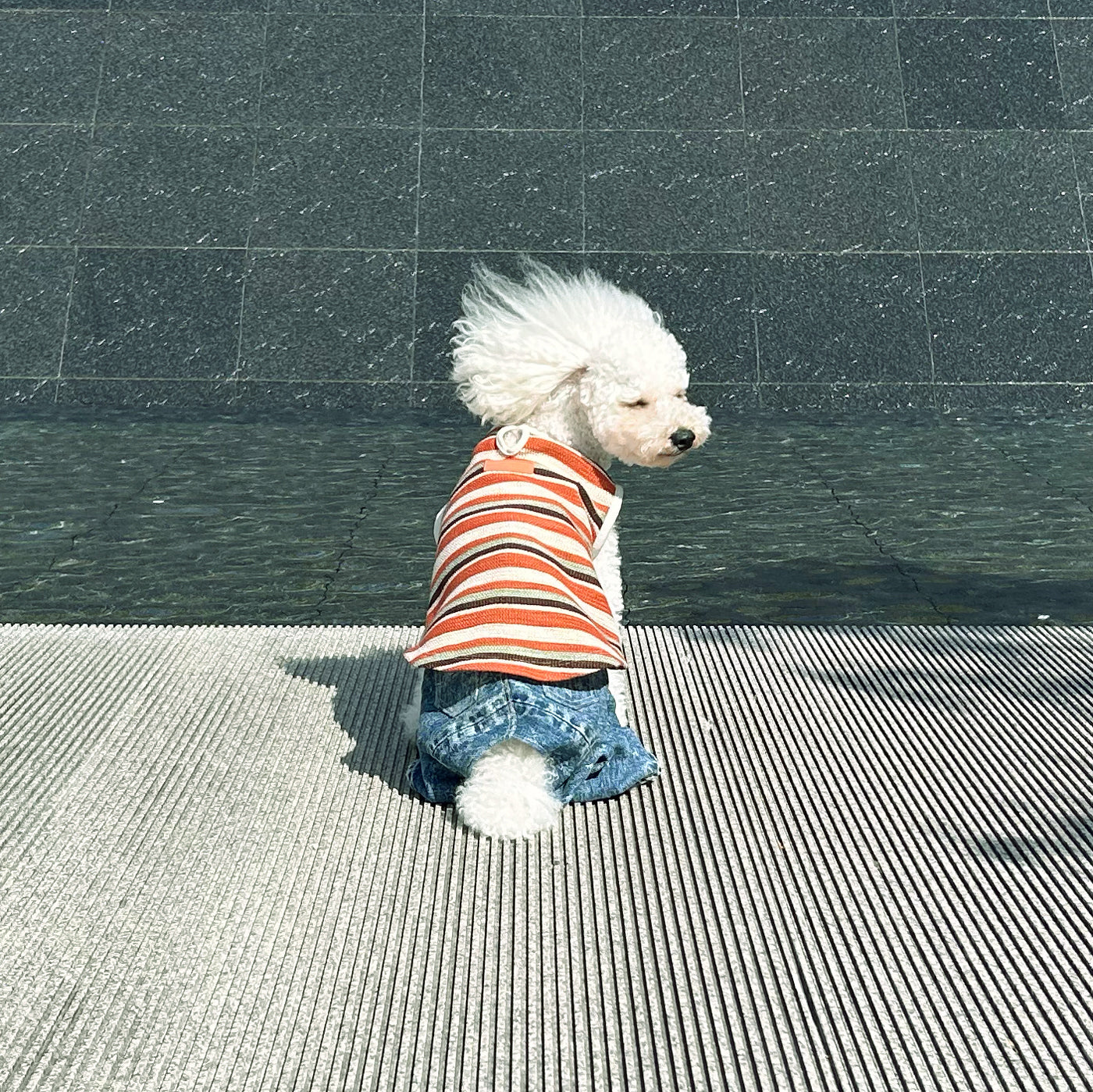 STRIPED NO SLEEVE TEE