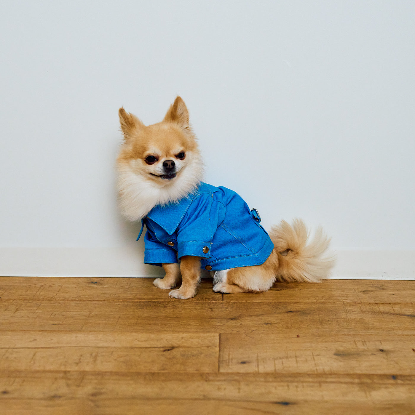 DENI - chiri JACKET