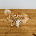 SOUVENIR JACKET