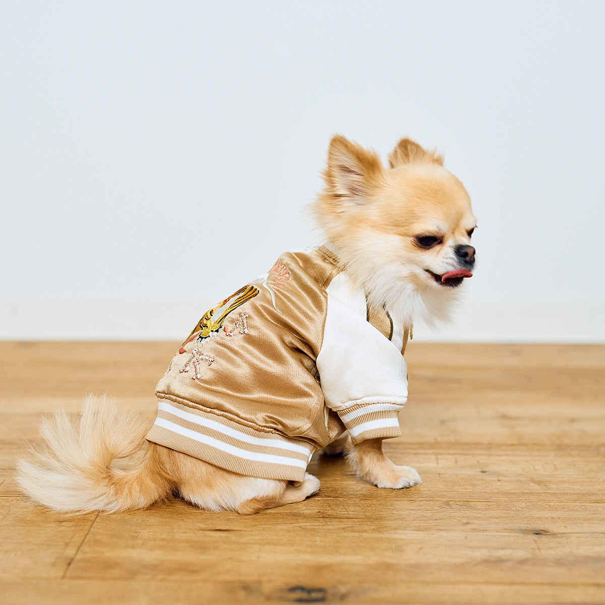 SOUVENIR JACKET