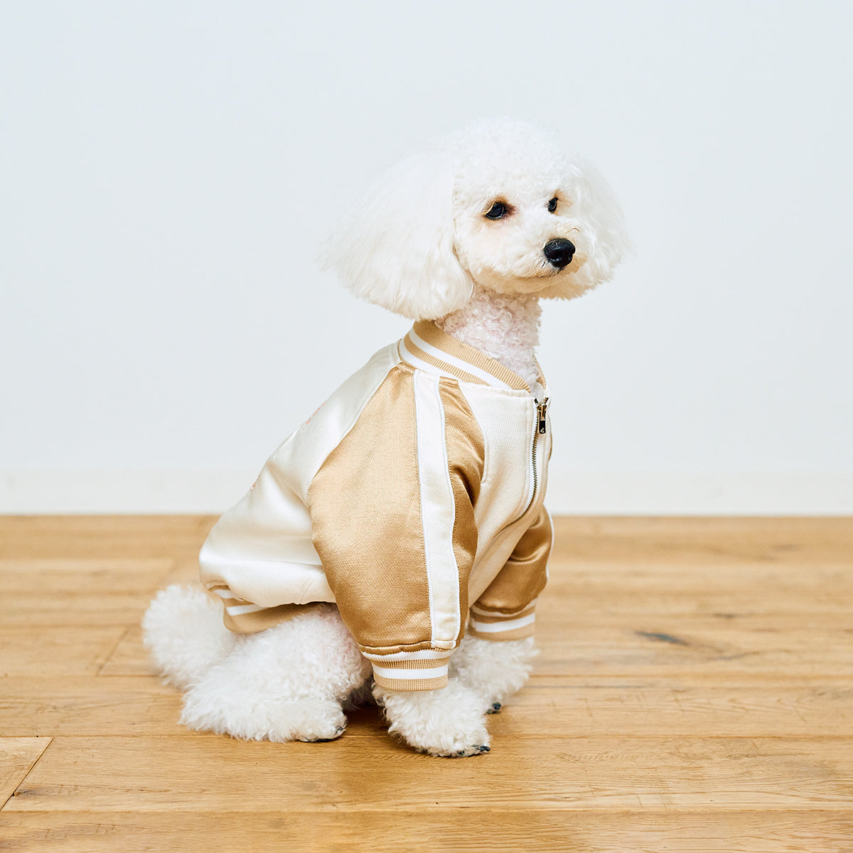 SOUVENIR JACKET