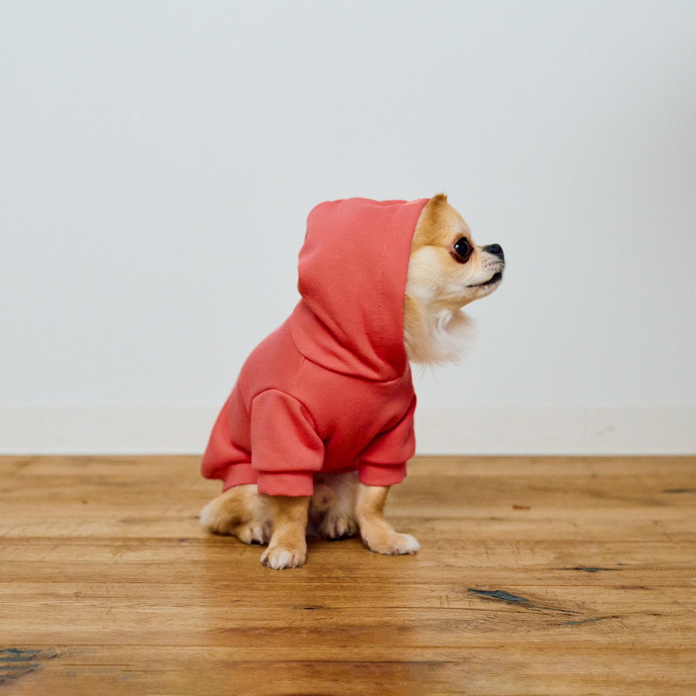 AZUMA HOODIE