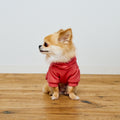 AZUMA HOODIE