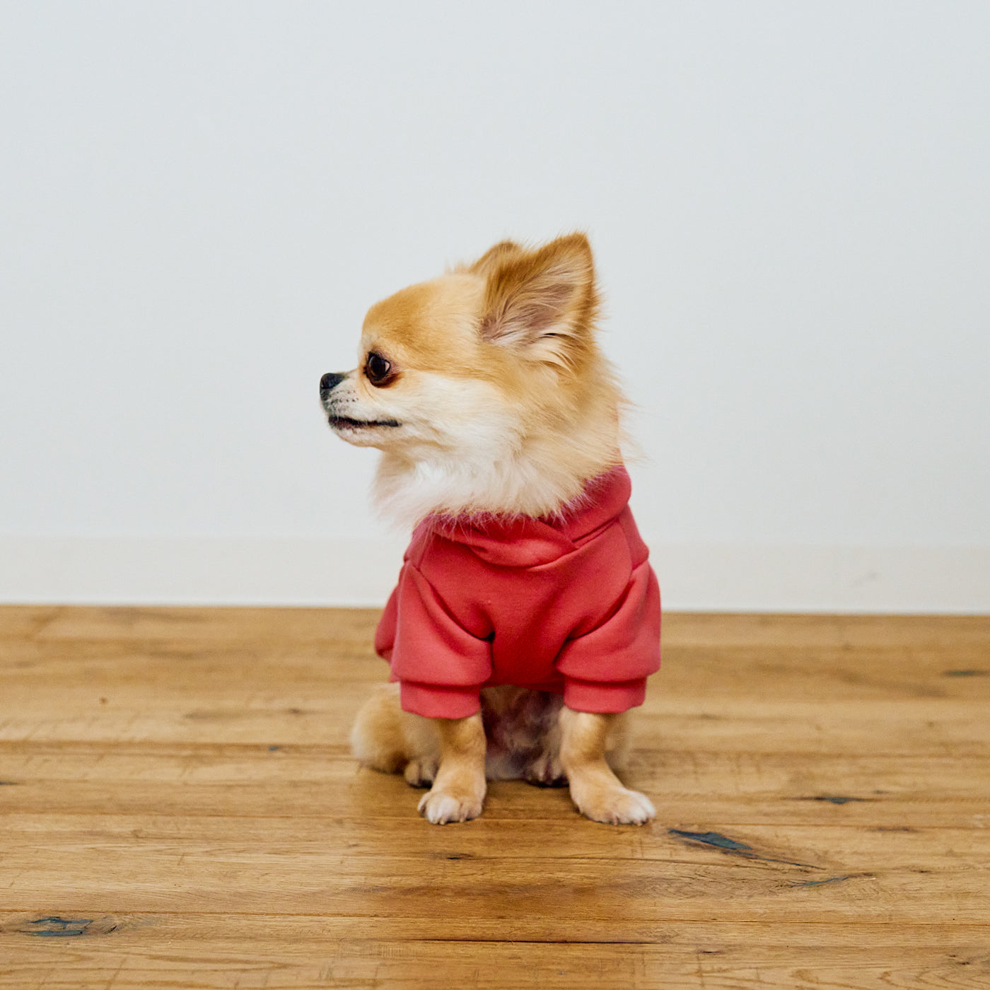 AZUMA HOODIE