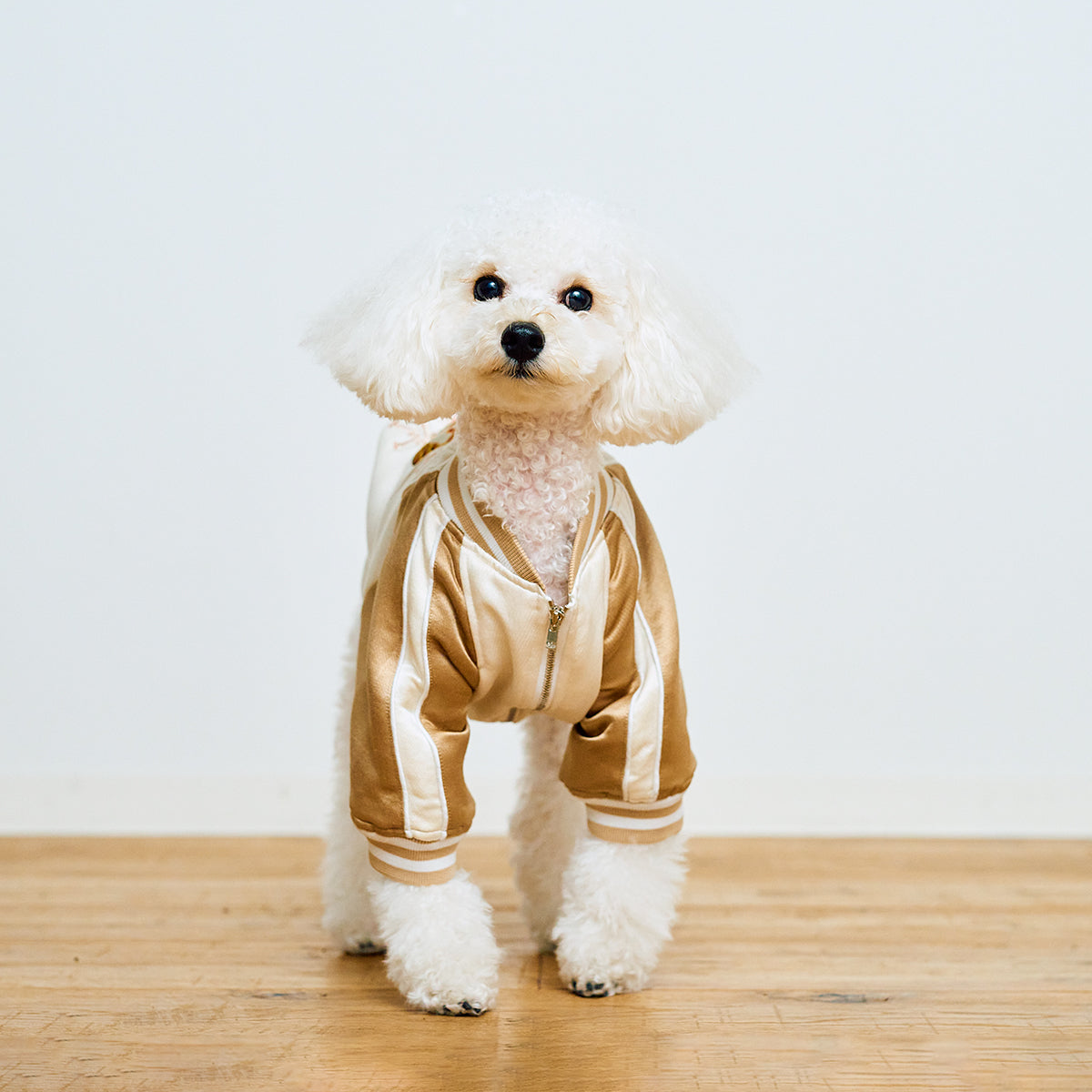 SOUVENIR JACKET